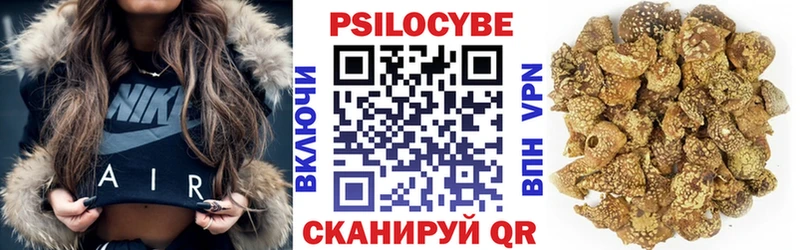 Галлюциногенные грибы Psilocybine cubensis  Нижняя Салда 